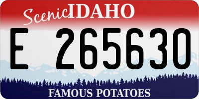 ID license plate E265630