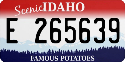 ID license plate E265639