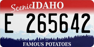 ID license plate E265642