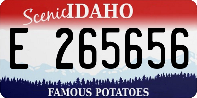 ID license plate E265656