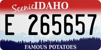 ID license plate E265657