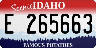 ID license plate E265663
