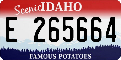 ID license plate E265664