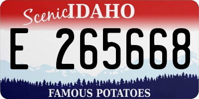 ID license plate E265668