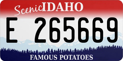 ID license plate E265669