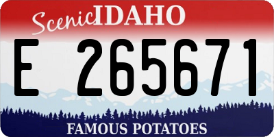 ID license plate E265671