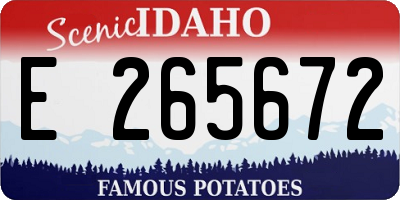 ID license plate E265672