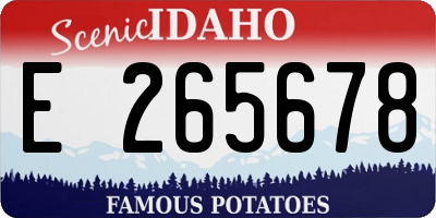 ID license plate E265678