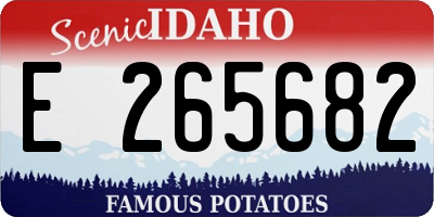 ID license plate E265682