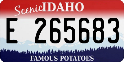 ID license plate E265683