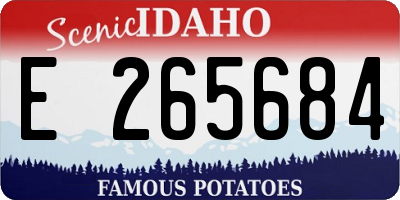 ID license plate E265684