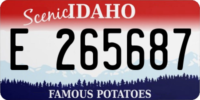 ID license plate E265687
