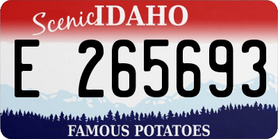 ID license plate E265693