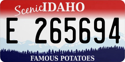 ID license plate E265694