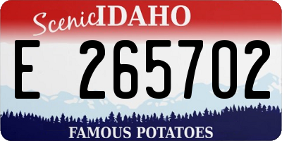 ID license plate E265702