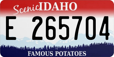 ID license plate E265704