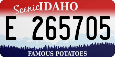 ID license plate E265705