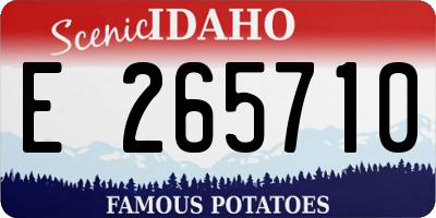 ID license plate E265710