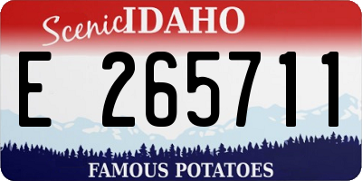 ID license plate E265711