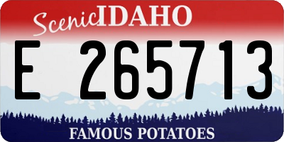 ID license plate E265713