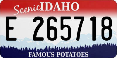 ID license plate E265718