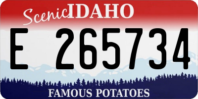 ID license plate E265734