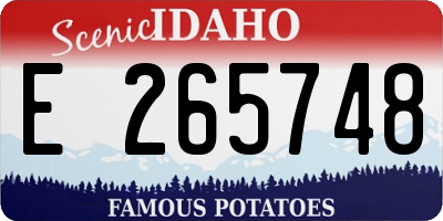 ID license plate E265748