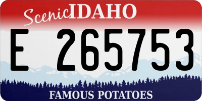 ID license plate E265753