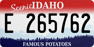 ID license plate E265762