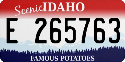 ID license plate E265763