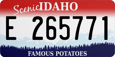 ID license plate E265771
