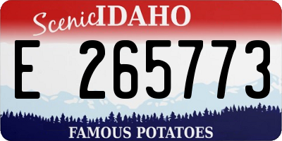 ID license plate E265773
