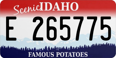 ID license plate E265775