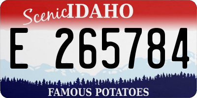 ID license plate E265784