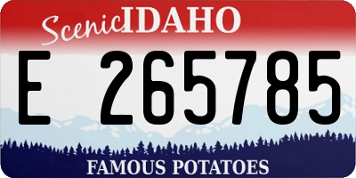 ID license plate E265785
