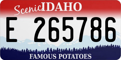 ID license plate E265786