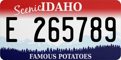 ID license plate E265789