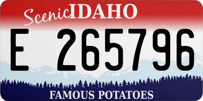 ID license plate E265796