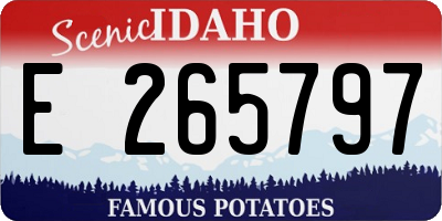 ID license plate E265797