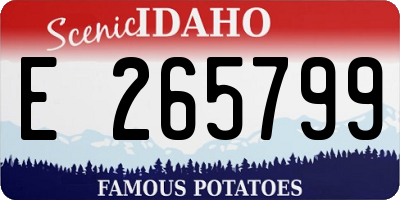 ID license plate E265799