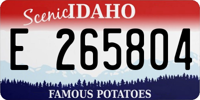 ID license plate E265804
