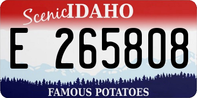 ID license plate E265808