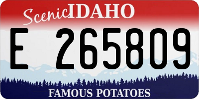 ID license plate E265809