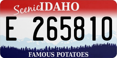 ID license plate E265810
