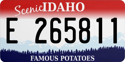 ID license plate E265811