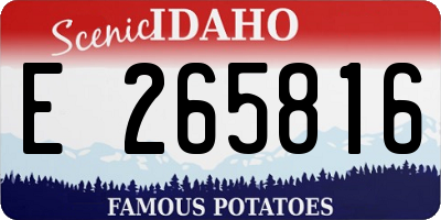 ID license plate E265816