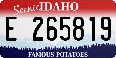 ID license plate E265819