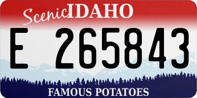ID license plate E265843