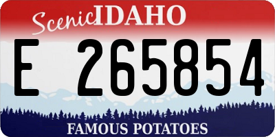ID license plate E265854