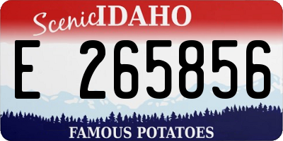 ID license plate E265856